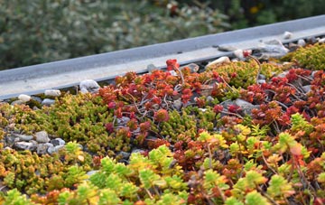 the cost of Tutwell green roof installation