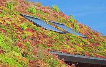 Tutwell living roof systems